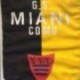 G.S. MIANI
