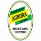 POLISPORTIVA AURORA