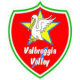 VALBREGGIA VOLLEY